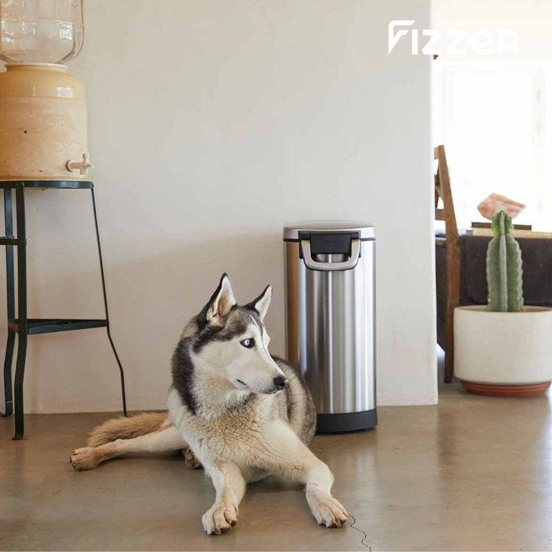 PetCan Fizzer™ – Compactador Inteligente de Ração