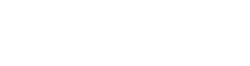 Fizzer